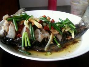 蒸好的草鱼取出，放上香菜和葱丝，将加热的花椒油淋在上面即可