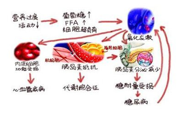 患糖尿病是因为吃了太多糖？