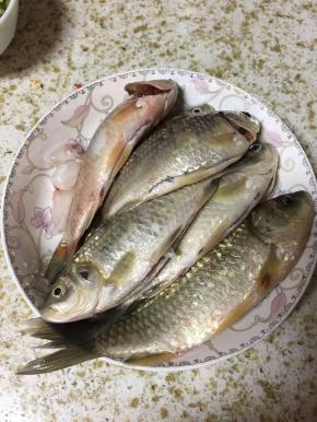 鲫鱼去鳞，破开取出内脏后洗净备用