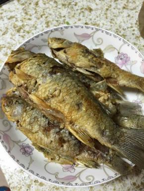 鲫鱼两面都炸好后捞出沥油备用