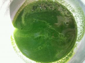 菠菜洗干净，切碎用榨汁机打成汁