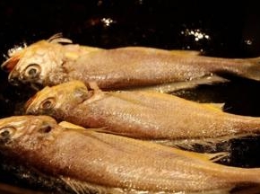 锅中倒入适量的食用油，把裹好面粉的小黄鱼下锅炸，表皮炸成黄色就可以捞出了