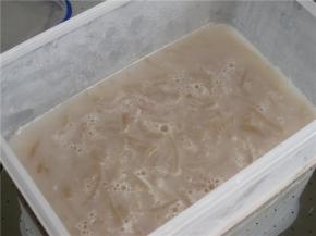 煮到汤汁粘稠就可以关火了，将煮好的猪皮倒入保鲜盒，凉后放进冰箱冷藏2-3小时成型即可