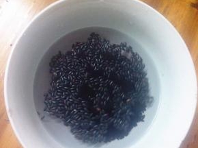 黑米提前一个晚上泡发，用电饭锅蒸好，莲子煮熟备用
