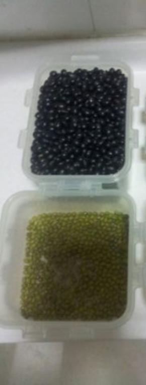 各种豆子清洗干净泡在水中1个小时