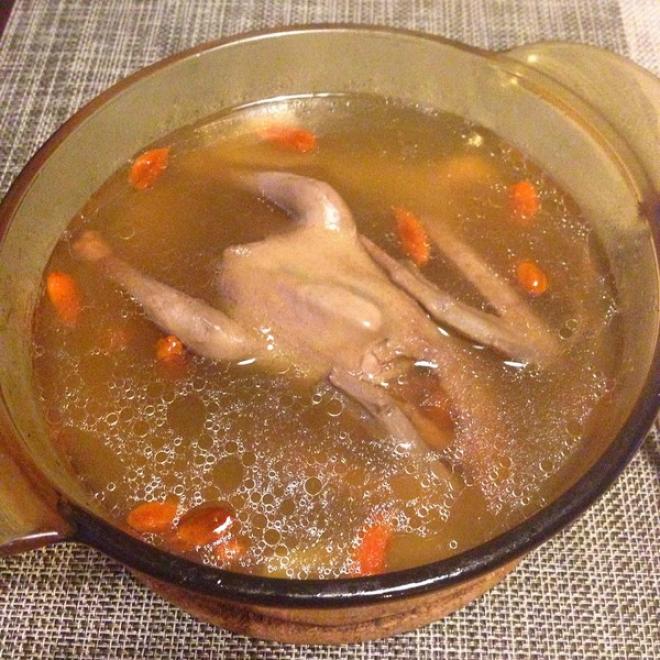 鸽子汤