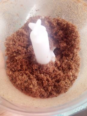 炒至牛肉烘干水分取出放入料理机中，打成肉松