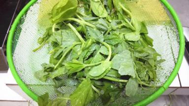 豌豆尖洗净去掉老芽，控水沥干