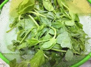 豌豆尖洗净去掉老芽，控水沥干