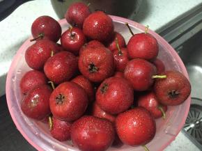 山楂用盐水泡20分钟，洗净沥干水分