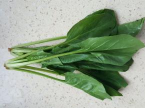 菠菜洗干净切成小段