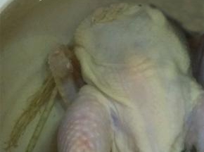 砂锅内加水，放入鸡，人参，枸杞，红枣和姜片，大火煮开之后小火煮2个小时