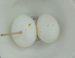 鸡蛋煮熟之后剥壳，用牙签扎孔煮起来更加入味