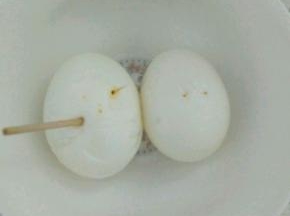 鸡蛋煮熟之后剥壳，用牙签扎孔煮起来更加入味