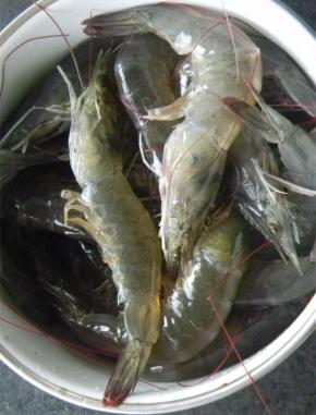 买来的基围虾剔除虾线，清洗干净