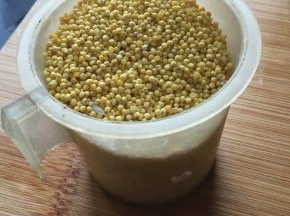 小米洗净入锅，放上山药块，高压锅加盖煮