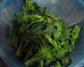 油菜尖洗净备用