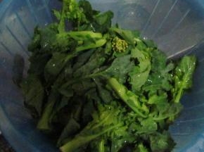 油菜尖洗净备用
