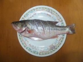 鲈鱼洗干净，鱼身划小口