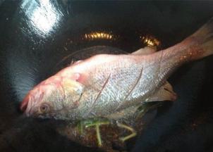炒锅加热，倒入适量调和油，烧热后放姜片，将鲈鱼慢慢放入锅中，中小火慢煎