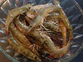 撒上少许盐在处理好的鲜虾上