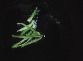 锅内放油，油热放入葱花，小火煎黄