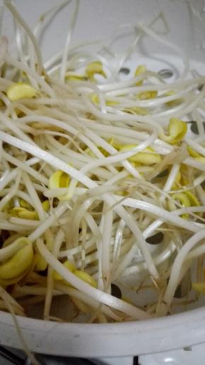 黄豆芽洗净备用
