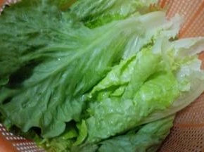 生菜洗干净备用