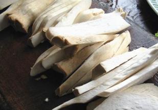 鸡腿菇横切成片