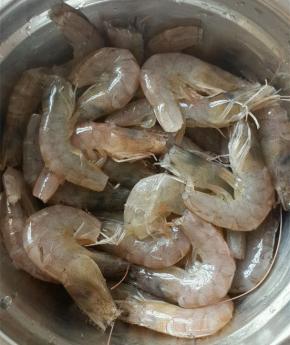 买来的海虾清洗干净，用剪刀剪去虾须和虾脚，剔除背部的虾线