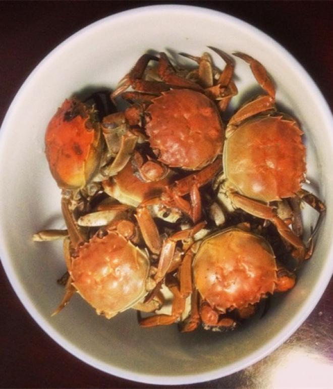 清蒸大闸蟹