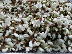 摘下槐花花苞，洗干净后切碎