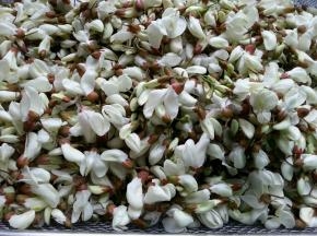 摘下槐花花苞，洗干净后切碎