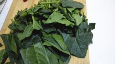 将菠菜去根洗净切成小块备用