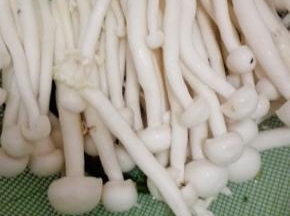 海鲜菇去根洗净，大蒜切片