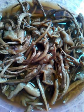 茶树菇用水泡20分钟，清洗干净