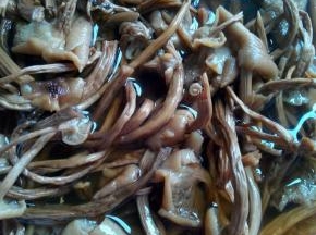 茶树菇用水泡20分钟，清洗干净