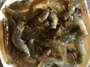 基围虾洗净，用剪刀去除头部，剔除虾线