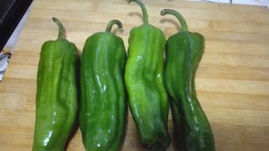 将青椒洗净控水备用