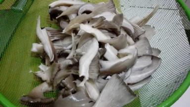 买来的平菇清洗干净，撕成细条状