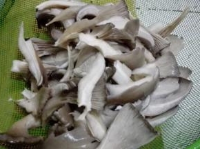 买来的平菇清洗干净，撕成细条状
