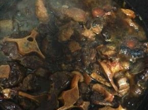 向锅内加入没过食材的开水，大火烧开转至中火煮1小时