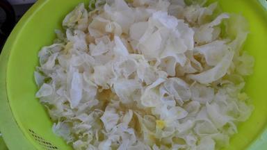 银耳用温水泡发