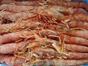 阿根廷红虾解冻备用