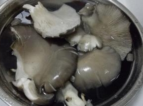 蘑菇洗净撕成条状备用