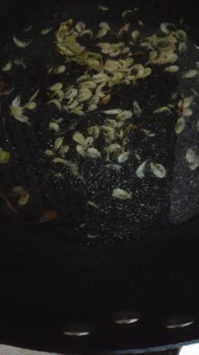 锅内添适量的水煮开