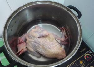 锅中放入适量的清水，将处理好的鸽子，姜片放进去，大火煮开后转中火炖20-30分钟，撒上葱花就可以啦