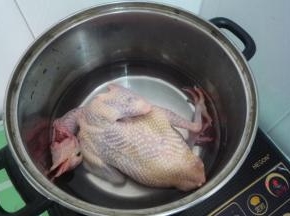 锅中放入适量的清水，将处理好的鸽子，姜片放进去，大火煮开后转中火炖20-30分钟，撒上葱花就可以啦