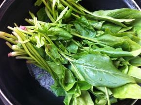 菠菜折去杂叶，去除须根，放入清水中，加生粉浸泡10分钟左右，然后用清水冲洗干净，沥干水分