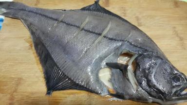 比目鱼去鳞去腮去肚，鱼身用刀划出口，以便待会腌制入味